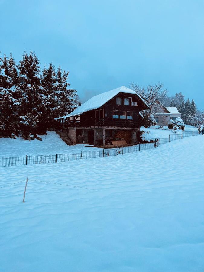 Chalet Pjagodic Cerklje na Gorenjskem Eksteriør billede